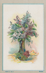 716050 Verzamelplaatje uit de Duitse stockserie ‘Blumen’, met op de achterzijde een opdruk van de firma Van Rijn, ...
